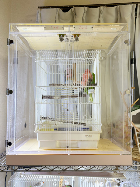 インコ用アクリルケースをスチールラックに設置