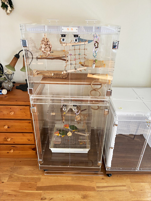 遊び場付きのインコの大型アクリルケース