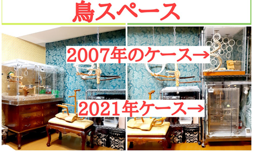 シロハラインコのアクリルケース