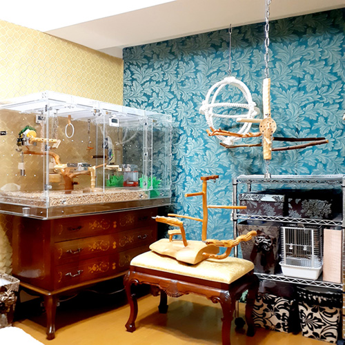 部屋にアクリルケース設置